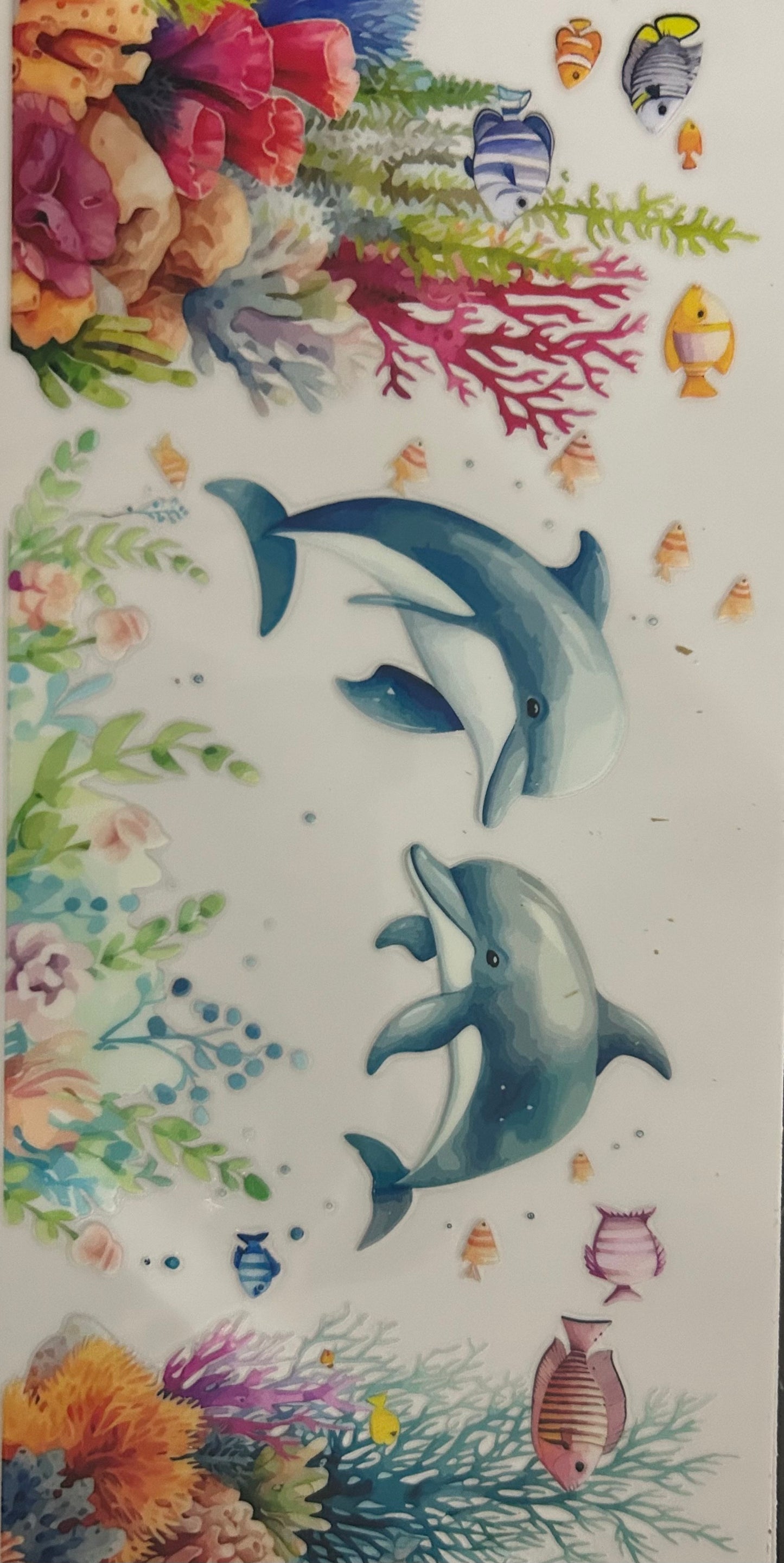 Dolphins