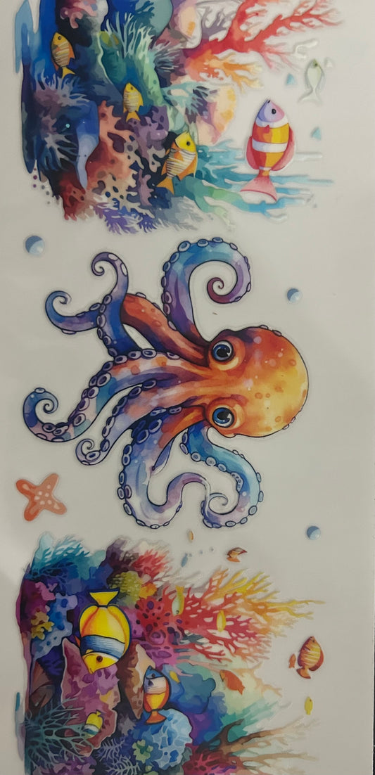 Octopus