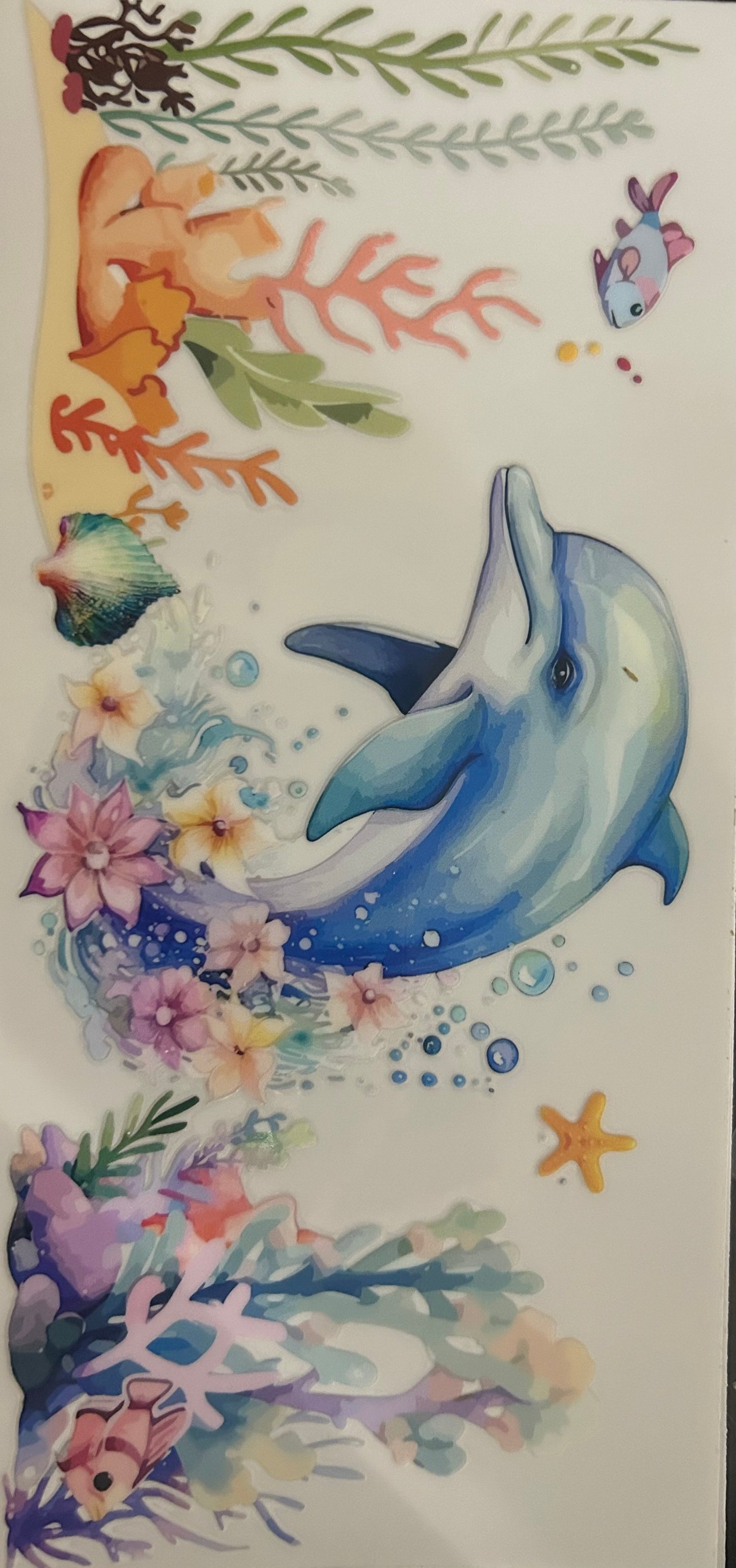 Dolphin
