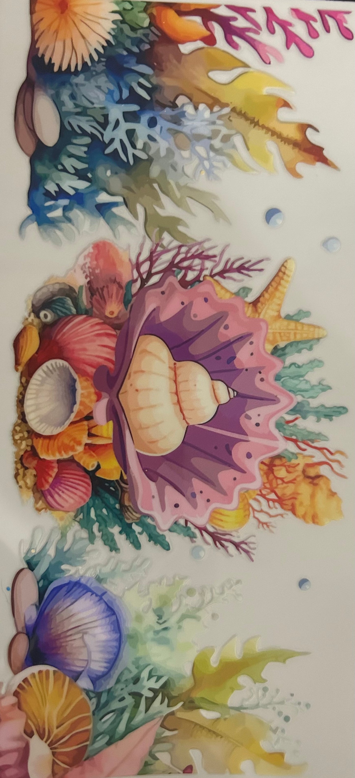 Shell