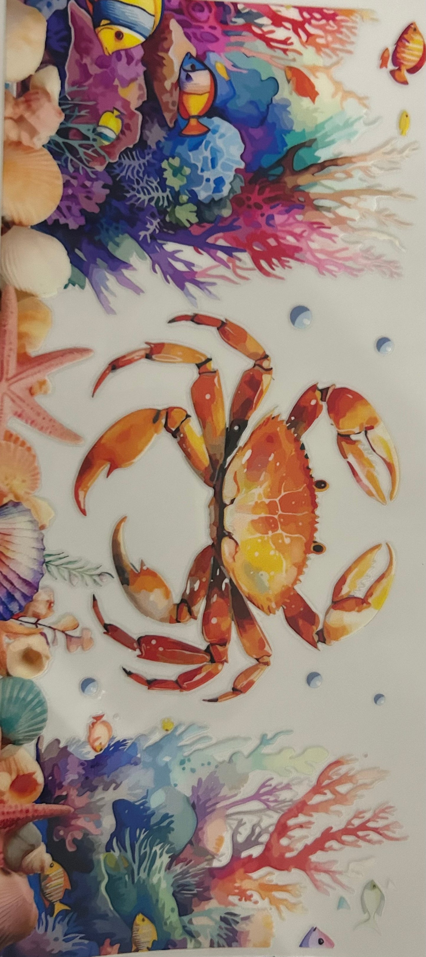 Crab